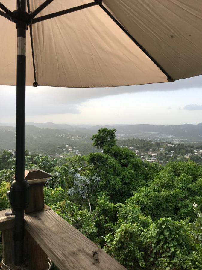 Camping Para Dos - A Escoger Segun Disponibilidad De Caseta O Cabana Caguas Eksteriør bilde