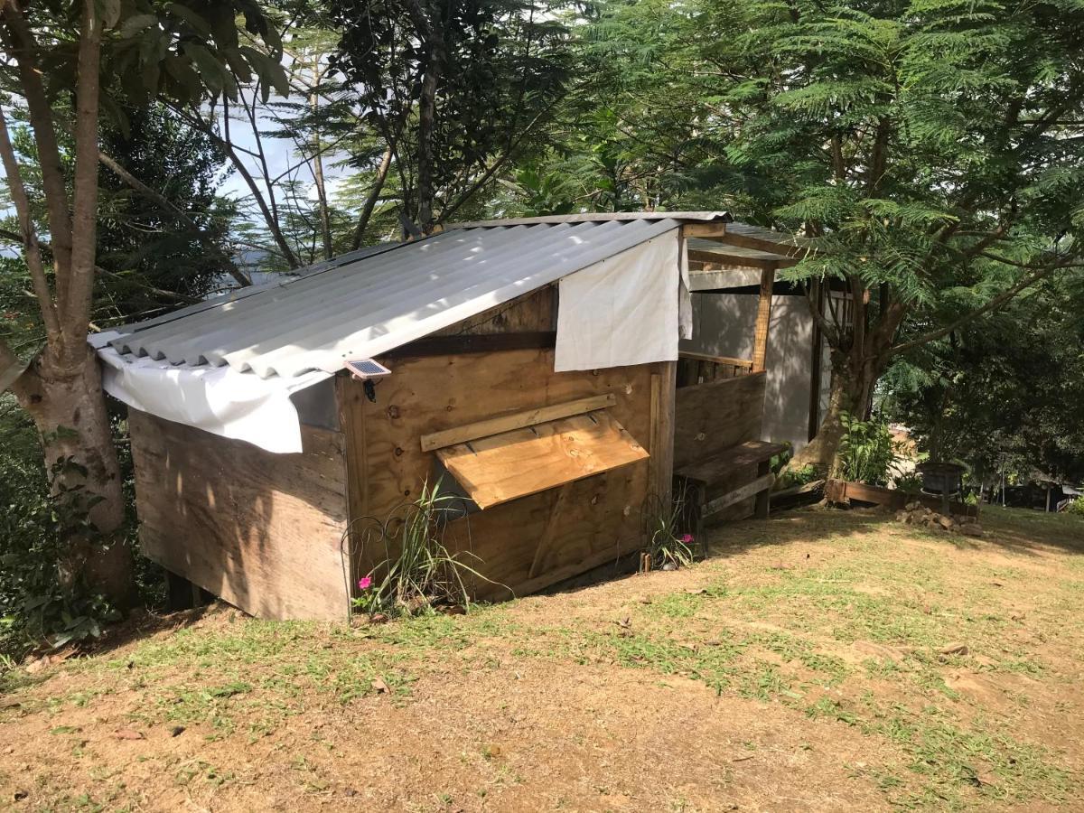 Camping Para Dos - A Escoger Segun Disponibilidad De Caseta O Cabana Caguas Eksteriør bilde