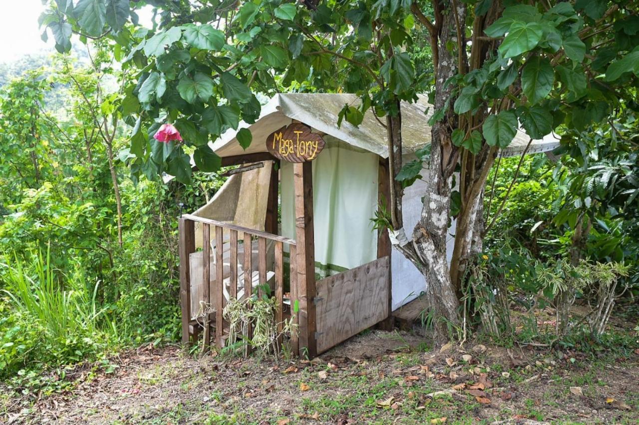 Camping Para Dos - A Escoger Segun Disponibilidad De Caseta O Cabana Caguas Eksteriør bilde
