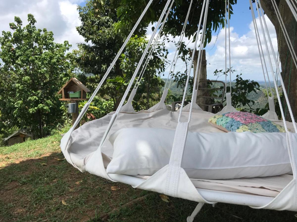 Camping Para Dos - A Escoger Segun Disponibilidad De Caseta O Cabana Caguas Eksteriør bilde