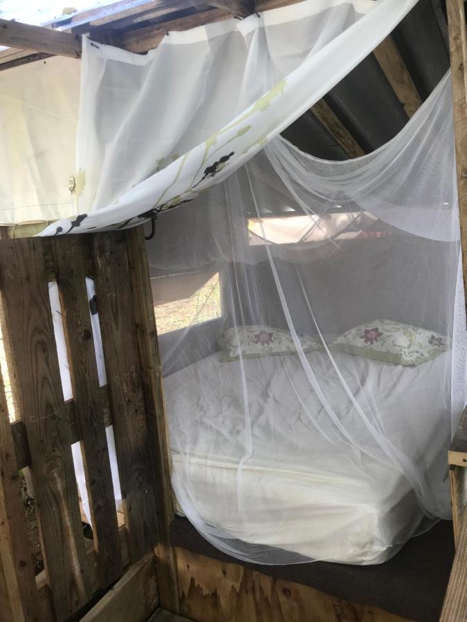 Camping Para Dos - A Escoger Segun Disponibilidad De Caseta O Cabana Caguas Eksteriør bilde