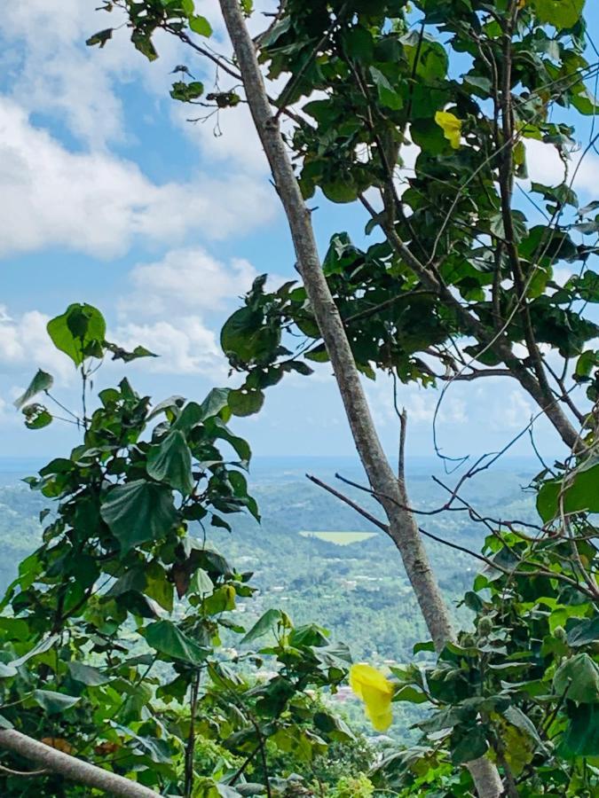 Camping Para Dos - A Escoger Segun Disponibilidad De Caseta O Cabana Caguas Eksteriør bilde