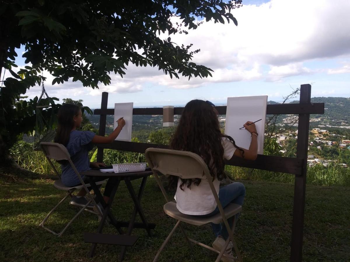 Camping Para Dos - A Escoger Segun Disponibilidad De Caseta O Cabana Caguas Eksteriør bilde