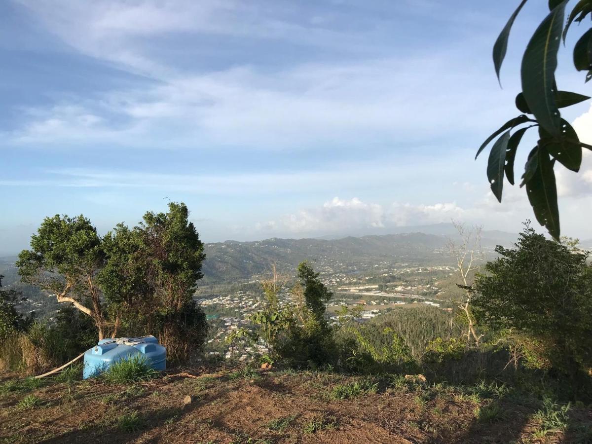 Camping Para Dos - A Escoger Segun Disponibilidad De Caseta O Cabana Caguas Eksteriør bilde