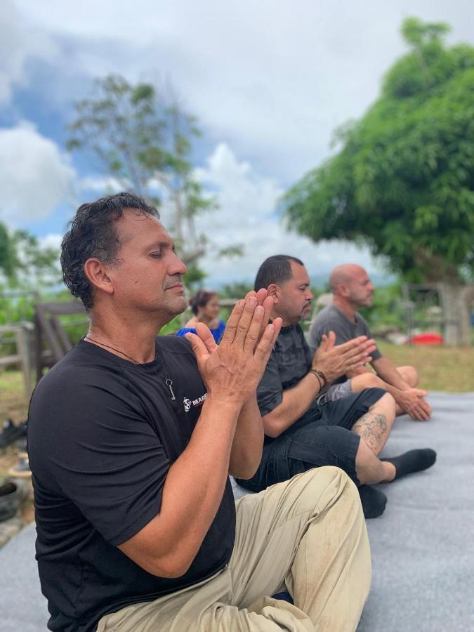 Camping Para Dos - A Escoger Segun Disponibilidad De Caseta O Cabana Caguas Eksteriør bilde