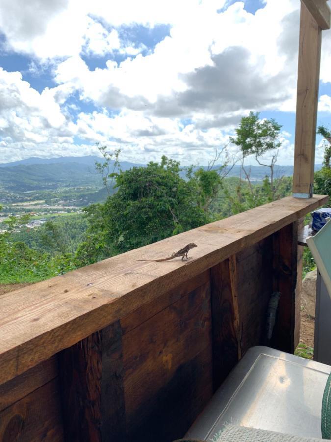 Camping Para Dos - A Escoger Segun Disponibilidad De Caseta O Cabana Caguas Eksteriør bilde
