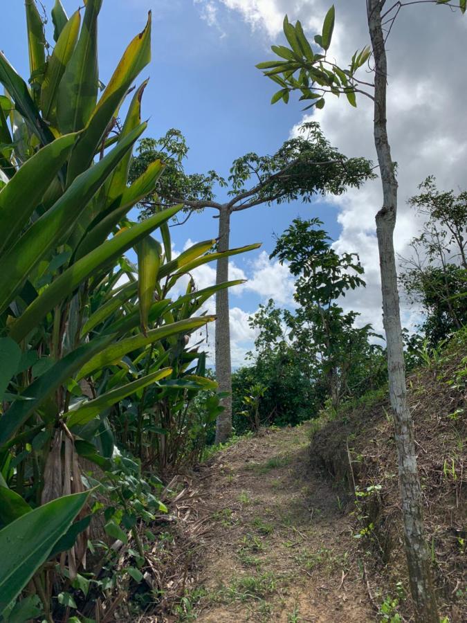 Camping Para Dos - A Escoger Segun Disponibilidad De Caseta O Cabana Caguas Eksteriør bilde