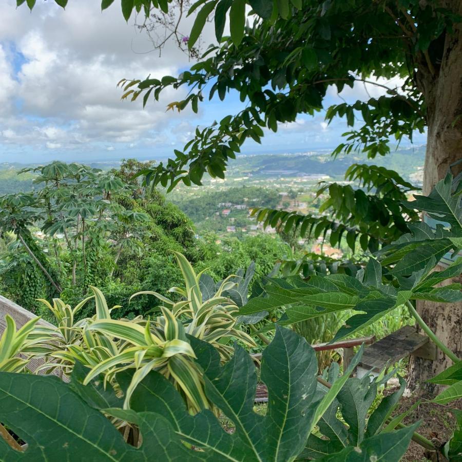 Camping Para Dos - A Escoger Segun Disponibilidad De Caseta O Cabana Caguas Eksteriør bilde
