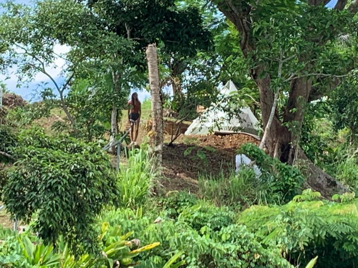 Camping Para Dos - A Escoger Segun Disponibilidad De Caseta O Cabana Caguas Eksteriør bilde