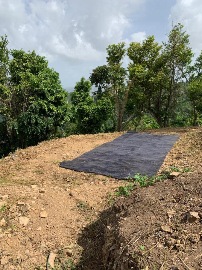 Camping Para Dos - A Escoger Segun Disponibilidad De Caseta O Cabana Caguas Eksteriør bilde