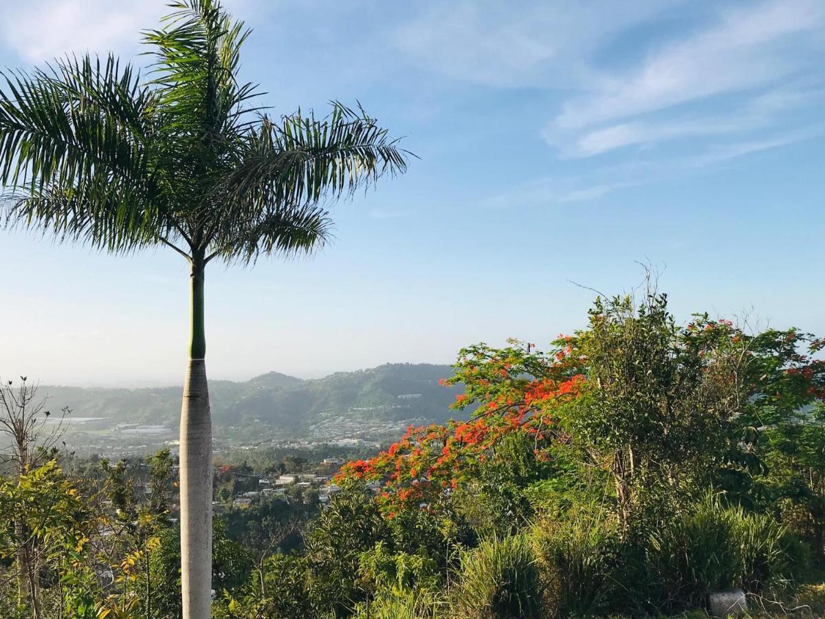 Camping Para Dos - A Escoger Segun Disponibilidad De Caseta O Cabana Caguas Eksteriør bilde