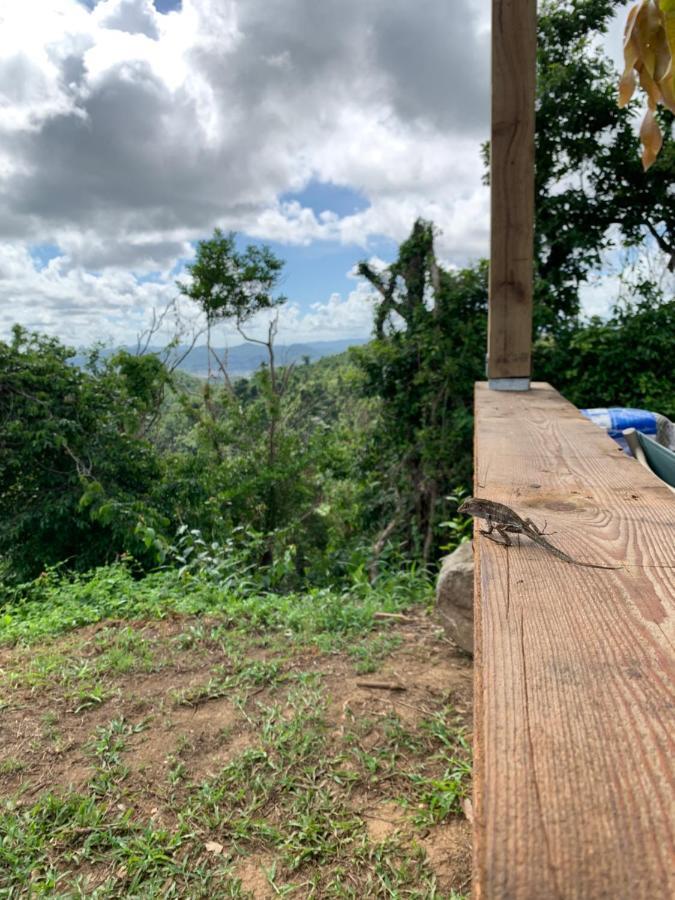 Camping Para Dos - A Escoger Segun Disponibilidad De Caseta O Cabana Caguas Eksteriør bilde