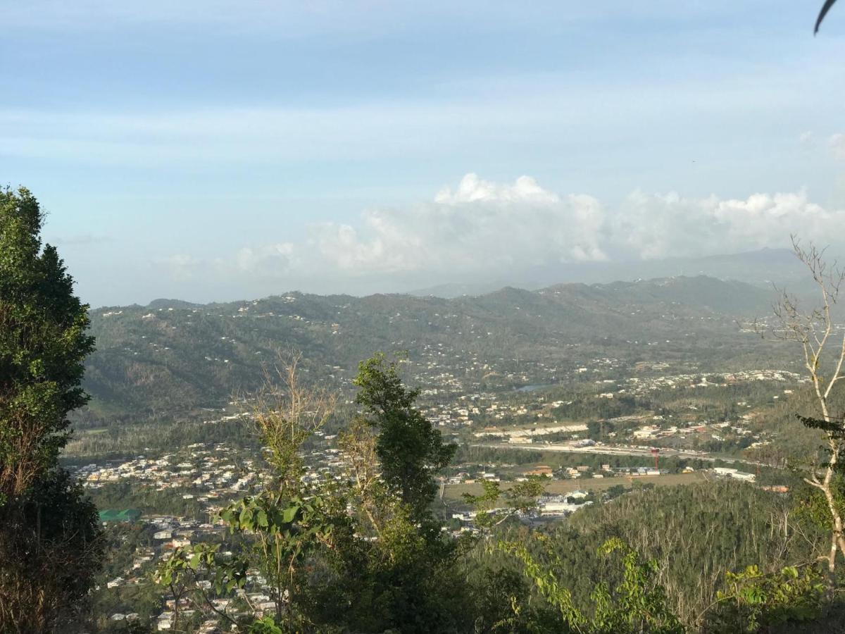 Camping Para Dos - A Escoger Segun Disponibilidad De Caseta O Cabana Caguas Eksteriør bilde