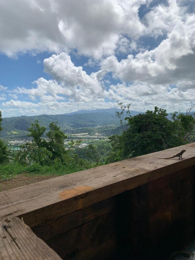 Camping Para Dos - A Escoger Segun Disponibilidad De Caseta O Cabana Caguas Eksteriør bilde
