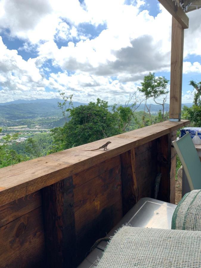 Camping Para Dos - A Escoger Segun Disponibilidad De Caseta O Cabana Caguas Eksteriør bilde