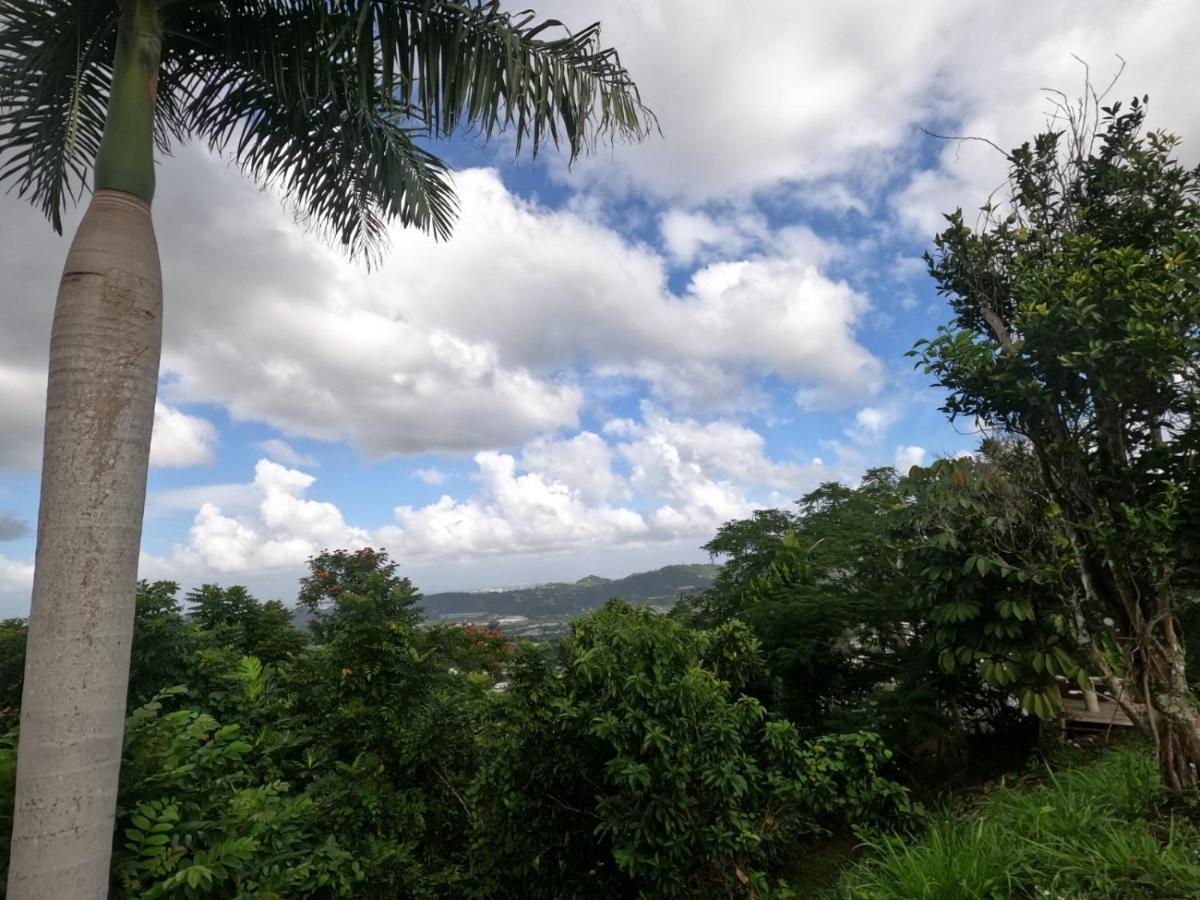 Camping Para Dos - A Escoger Segun Disponibilidad De Caseta O Cabana Caguas Eksteriør bilde