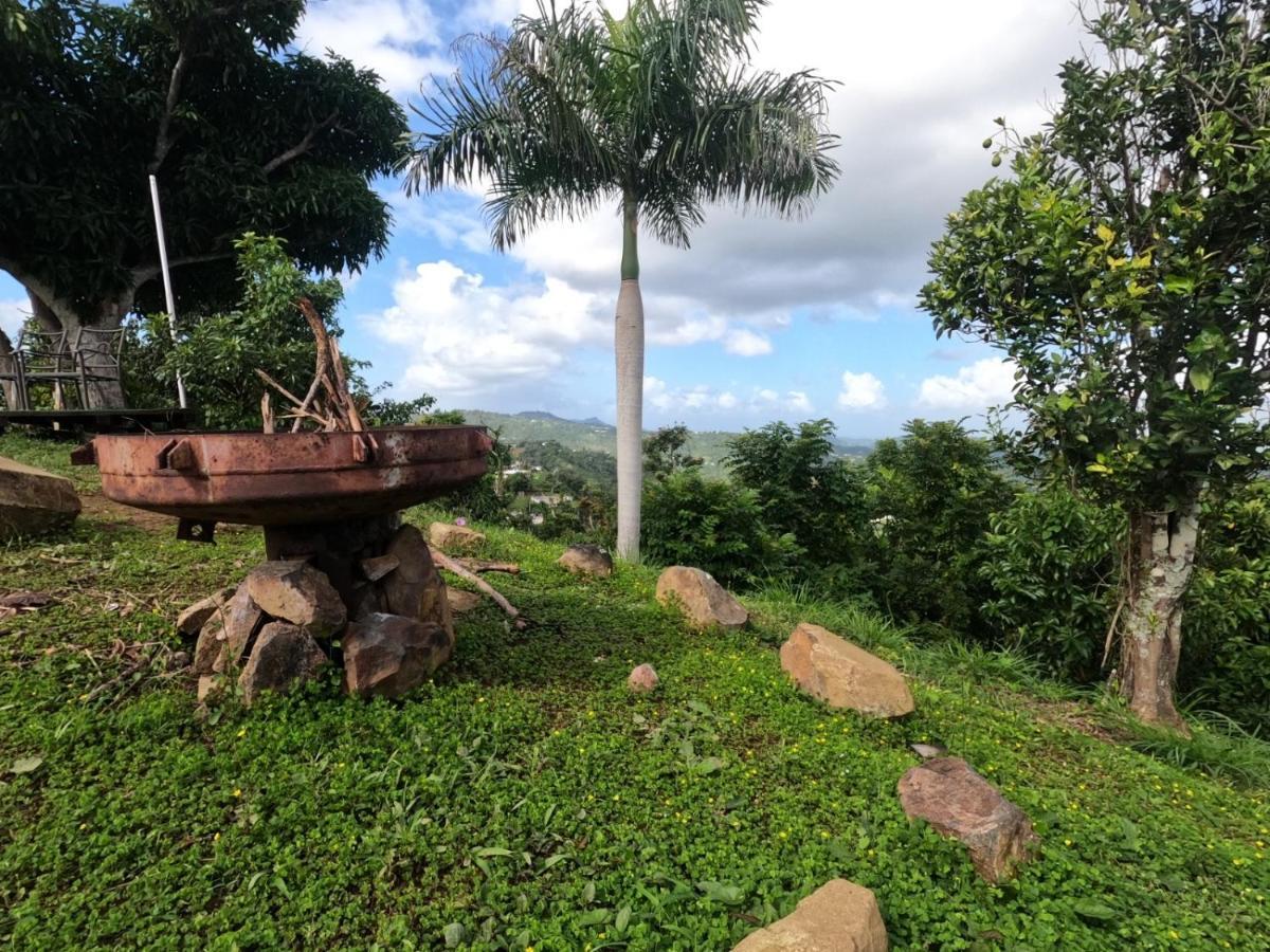 Camping Para Dos - A Escoger Segun Disponibilidad De Caseta O Cabana Caguas Eksteriør bilde